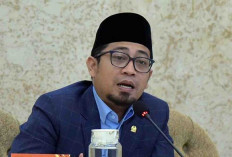 Anggota DPR Tegaskan PPPK Tidak Bisa Dirumahkan, Minta Daerah Benahi Efisiensi Anggaran