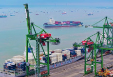 Terminal Teluk Lamong Catat Throughput  1,2 Juta TEus Tumbuh 13 Persen