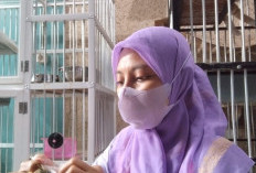 Solusi Mudik Tenang, Jasa Cat Sitter dan Penitipan Kucing di Surabaya Banjir Order Jelang Lebaran