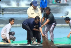 Prabowo Ikut Tarik Jaring Nelayan saat Panen Raya Udang di Kebumen