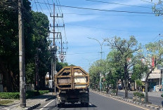 DPRD Gresik Dorong DLH Tambah Armada Kebersihan untuk Perkuat Penanganan Sampah