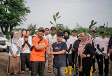 Lindungi Pesisir dari Abrasi, Pelajar SMP Surabaya Tanam 18.200 Mangrove
