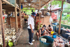 Proyek Pasar Keputran Selatan Amburadul, Masyarakat Desak Audit Total