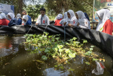 26 Pelajar Tak Kenal Ikan Lokal Kali Surabaya #Diajak Jadi River Detective