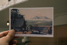 Efek Raditya Dika, Kartu Pos Kembali Menjadi Tren di Era Digital