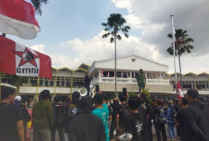 Demo Pasar Tanjung Jember Ricuh, Kadiskopumdag Pingsan dan Massa Lempar Tomat