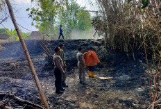 Bakar Sampah Sembarangan, Dua Lahan di Kedungpring Lamongan Hangus Terbakar