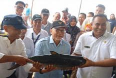 Pastikan Ketahanan Pangan di Gresik, Menko Zulhas Tinjau Kampung Bandeng Pangkahwetan