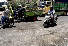 Kondisi Jalan Nasional Lumajang-Turen di Sukodono Membahayakan Pengendara Jelang Mudik