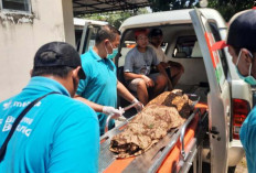 Bocah Situbondo Ditemukan Tewas Tersangkut Bebatuan Sungai