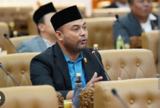 Ketua Komisi D DPRD Jatim Berharap Ada Lembaga Bantu Kelola Jembatan Suramadu