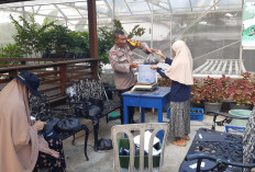 Sinergi Polsek Krembangan dan KWT Dorang Cinta Panen 90 Kg Lele, Dukung Ketahanan Pangan Nasional