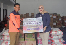 Pelindo Salurkan Bantuan Logistik untuk Korban Gempa Nusa Tenggara Timur