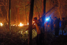 Kebakaran Lahan Kebun Jati di Paron Ngawi Berhasil Dipadamkan, Polisi Imbau Warga Waspada Bahaya Bakar Sampah 