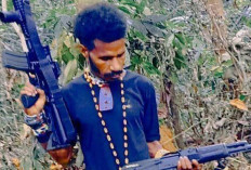 Manfret Fatem Tewas di Maybrat, Komandan OPM yang Dikaitkan dengan Gugurnya 2 Prajurit TNI AL