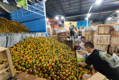 Penertiban Pasar Buah Tanjungsari Disorot DPRD Surabaya: Jangan Tebang Pilih