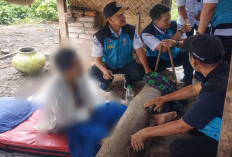 Duka di Jember, Ibu Terpaksa Pasung Anak Kandung Usai Nyaris Merenggut Nyawanya