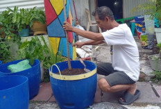 Kampung Warna Warni RW 13 Manukan Kulon Jadi Ikon Kreativitas Warga Surabaya