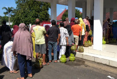 Krisis Gas Melon di Tanggul Jember, Harga Tembus Rp40 Ribu, Pemkab Gelar Operasi Pasar Darurat