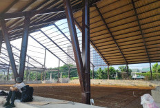 Tak Sesuai PBG dan Caplok Sempadan, Proyek Lapangan Padel di Keputih Disemprit SP3