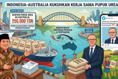 Perkuat Rantai Pasok Global, Indonesia Ekspor 250.000 Ton Pupuk Urea ke Australia