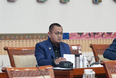 DPR Dorong Pemberantasan Narkotika Menyeluruh Usai BNN Sita 3,37 Ton Bunga Ganja di Gresik