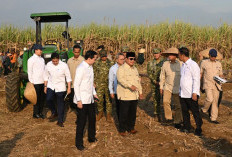 Dampingi Presiden Prabowo Panen Raya di Malang, Menteri Nusron: Ketahanan Pangan Butuh Kepastian Hukum Tanah