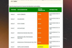 Gempa M 7,6 Guncang Bitung: BMKG Terbitkan Peringatan Dini Tsunami, Status Siaga dan Waspada di 10 Wilayah