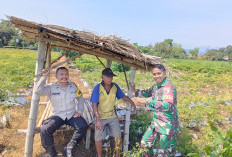 Perkuat Ketahanan Pangan, Bhabinkamtibmas Dermo Dampingi Petani Jagung di Kediri Kota