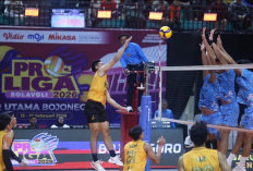 Proliga 2026, Bhayangkara Presisi Libas Garuda Jaya 3-0