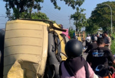 Diduga Sopir Mengantuk, Truk Tangki Terguling dan Hantam Pohon di Deket Lamongan
