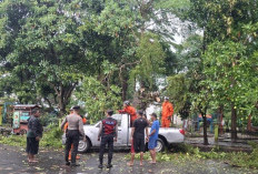 Gerak Cepat Polisi Bersama BPBD dan Warga Evakuasi Pohon Tumbang di Wilayah Kota Kediri