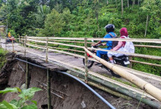 Tiga Tahun Jalan Desa di Ponorogo Ambles Belum Diperbaiki Pemerintah   