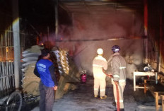 Kandang Terbakar di Blitar, 21 Ribu Anakan Ayam Terpanggang Hidup-hidup, Rugi Rp1 Miliar