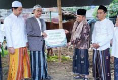 Wabup Bangkalan Serahkan Sapi Banpres Limosin 1,1 Ton dan Salurkan Puluhan Hewan Kurban Pemkab