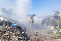  Kandang Ternak di Menganti Gresik Terbakar, Kerugian Ditaksir Rp 50 Juta
