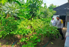 Bhabinkamtibmas Kwadungan Monitoring Tanaman Terong dan Cabai, Perkuat Ketahanan Pangan di Ngawi 