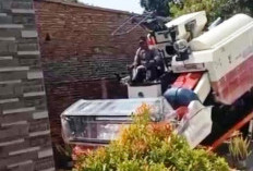 Inspektorat dan Polisi Turun Tangan Usut Combine Harvester Bantuan DPRD Jatim yang Hilang di Jombang