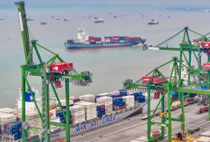Terminal Teluk Lamong  Catat Rekor Throughput 1,75 Juta TEUs hingga Juli 2026 