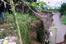 Atasi Banjir Tahunan, Bupati Jember Siap Bongkar Belasan Rumah di Bantaran Sungai