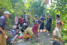 Warga Desa Alun Alun Ranuyoso Kompak Gotong Royong Perbaiki Jalan Penghubung Dusun