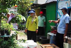 Inovasi Budidaya Maggot RW 8 Kedurus, Ubah Rumah Kosong Jadi Sumber Cuan Warga