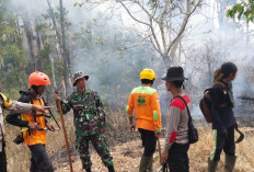 Polisi Ngawi dan Tim Gabungan Berjibaku Padamkan Karhutla di Gunung Botak