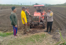 Perkuat Ketahanan Pangan, Bhabinkamtibmas Pakunden Aktif Dampingi Petani Jagung