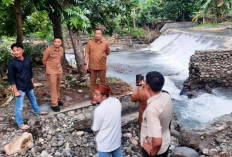 Bupati Situbondo Tinjau Dam Sungai Sahar Rusak, Perbaikan Gunakan Dana BTT