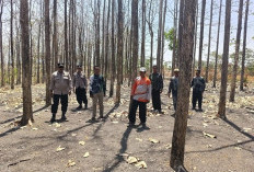 Antisipasi Karhutla, Polisi dan BKPH Sisir Kawasan Hutan Kedungadem Bojonegoro