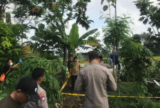 Diduga Tersengat Listrik Sibel, Warga Ponorogo Meninggal Dunia di Sawah