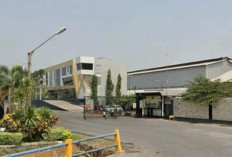 Miliki 4 Tenaga Kerja Asing, PT SPS Diduga Tak Lapor Disnaker