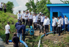 Mitigasi El Nino, Petani Lamongan Tetap Optimis