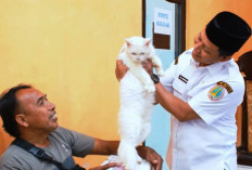 Vaksinasi Rabies Gratis Hewan Kesayangan Warnai Hari Jadi Kota Pasuruan Ke-340